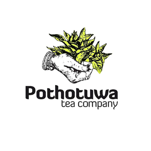 Pothotuwa Tea Company